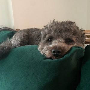 Meet your Posher, Jeanette